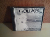 Goliah - Reflection